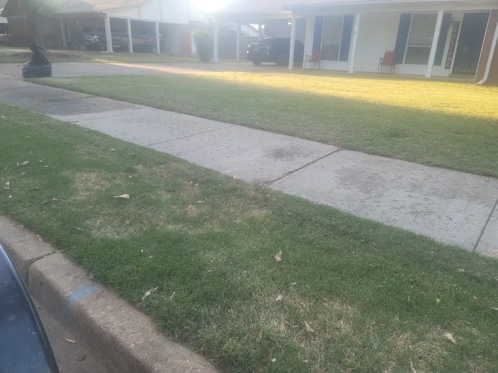 Top-rated yard cleanup service for beautiful yards in Horn Lake, MS by brown lawn care services