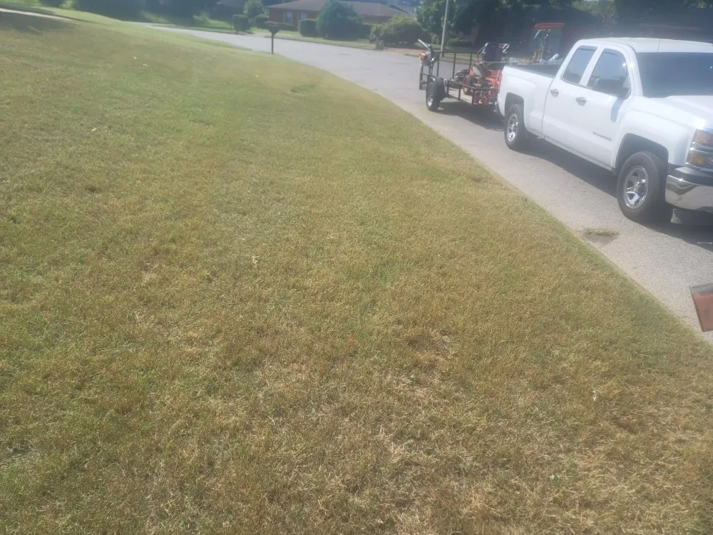 Reliable yard cleanup service experts serving Horn Lake, MS - brown lawn care services