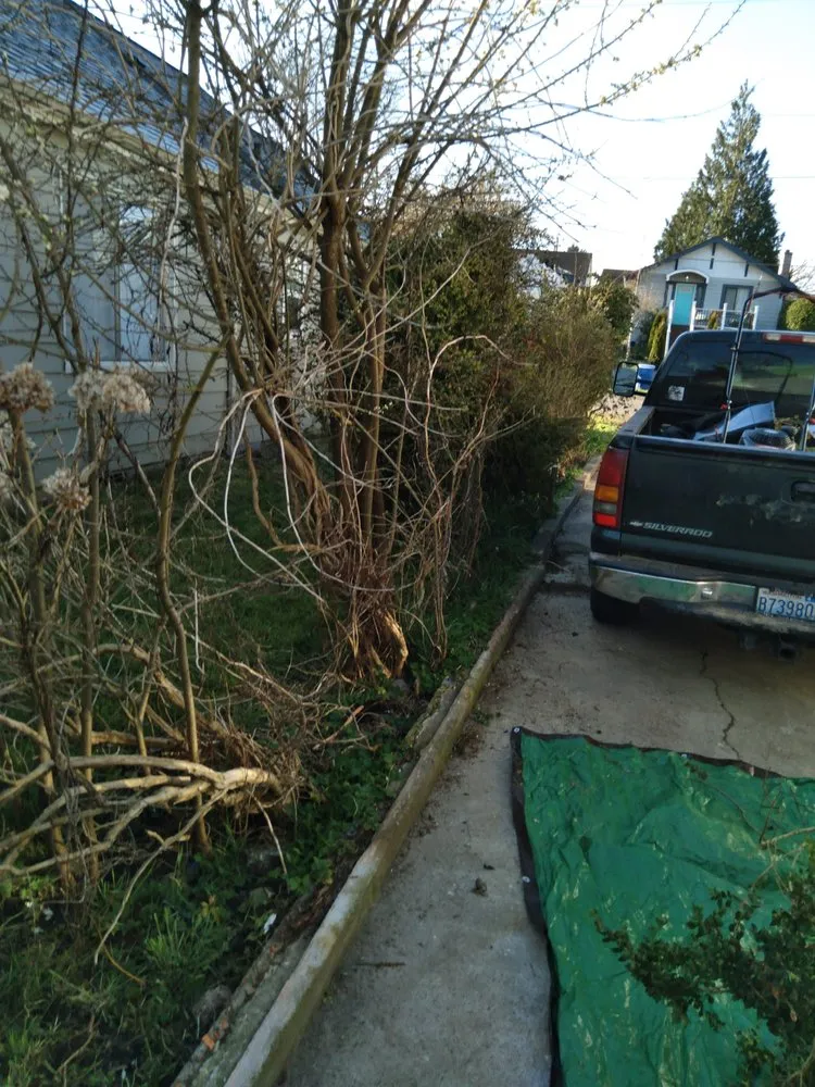 Affordable landscape design in Longview, WA - Brown Roots