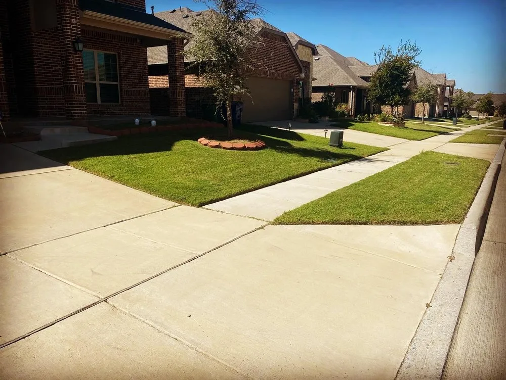 Expert yard maintenance in Arlington, TX - Brown Service Pros