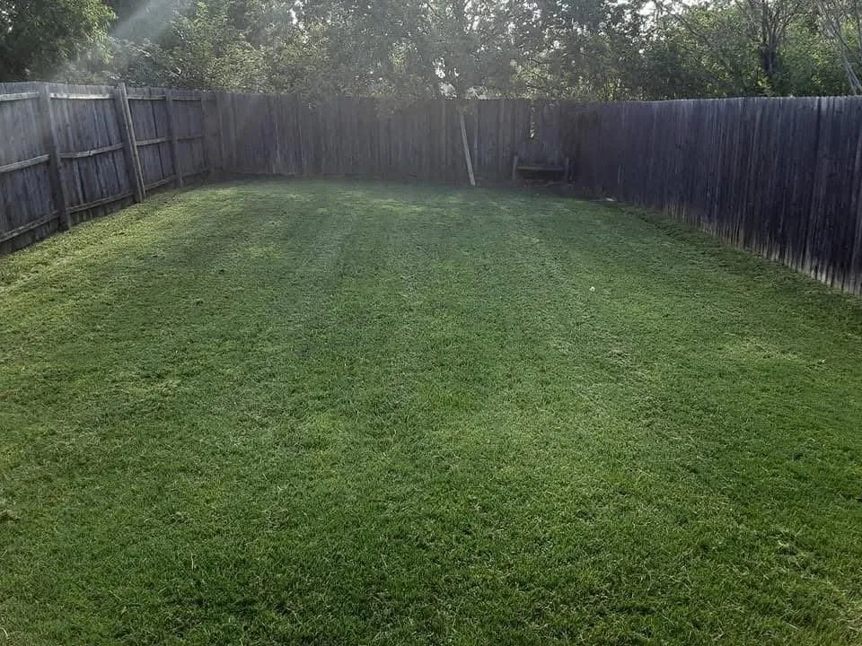 Top-rated lawn care service for outdoor upgrades in Arlington, TX by Brown Service Pros