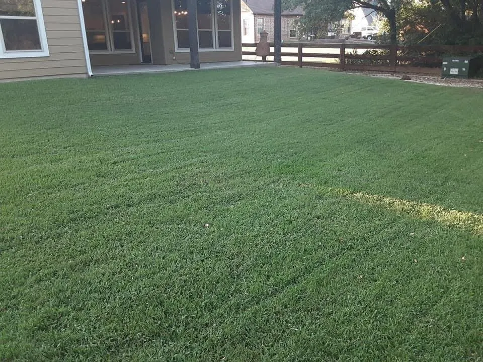 Top-rated landscape design in Arlington, TX by Brown Service Pros