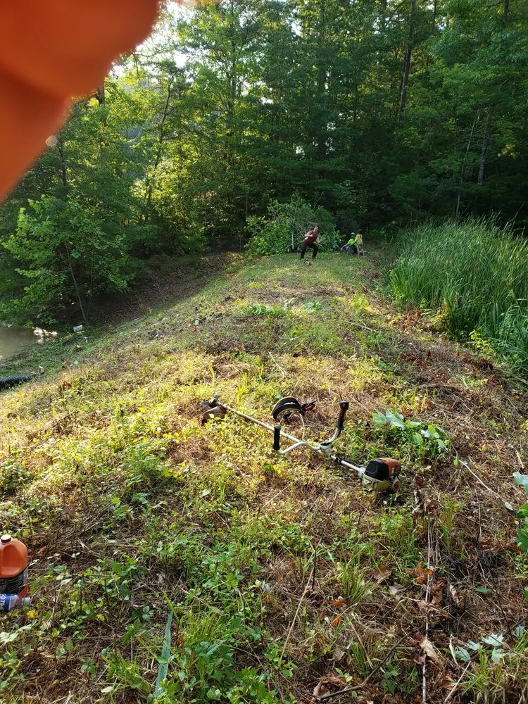 Top-rated lawn mowing service in Stanton, KY - Brown Star Landscaping