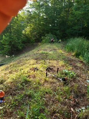 Brown Star Landscaping