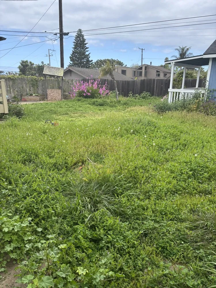 Top-rated outdoor landscaping in Oak View, CA - Brown Stone Landscaping