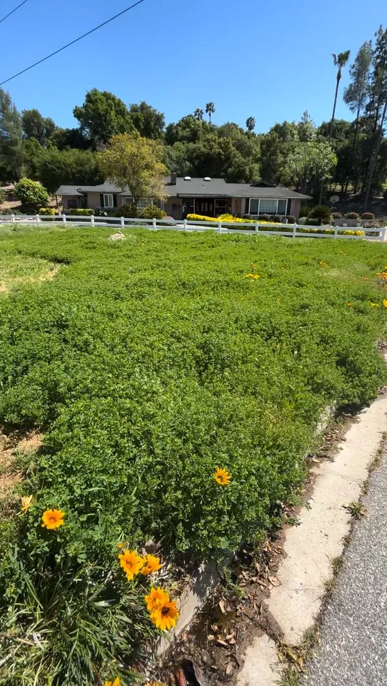 Expert landscape design with custom design in Oak View, CA by Brown Stone Landscaping