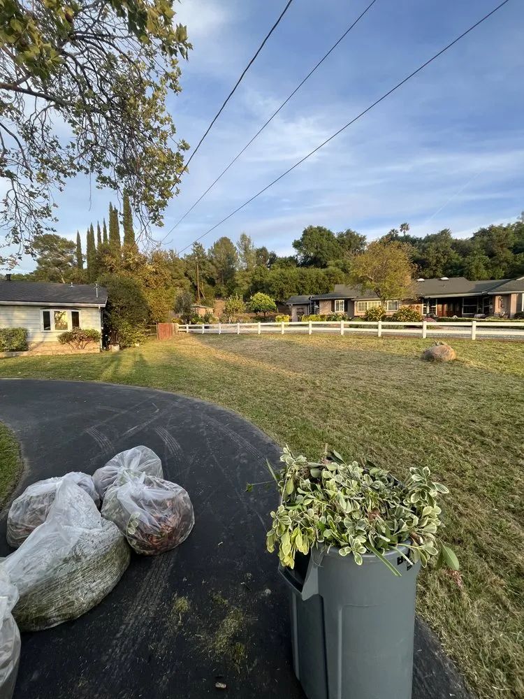 Reliable yard maintenance in Oak View, CA by Brown Stone