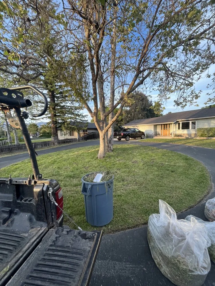 Top-rated lawn care service for residential properties in Oak View, CA by Brown Stone