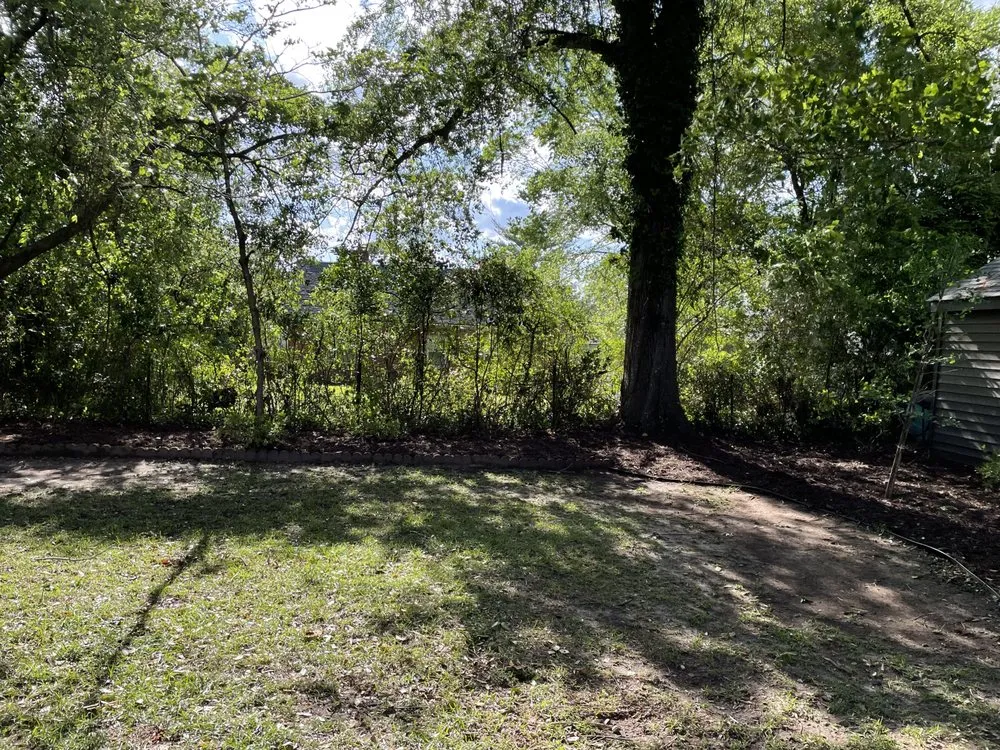 Reliable yard cleanup service in Fayetteville, NC - Brown Tree And Lawn Care