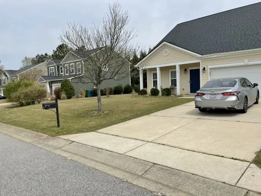Brown Tree And Lawn Care Logo