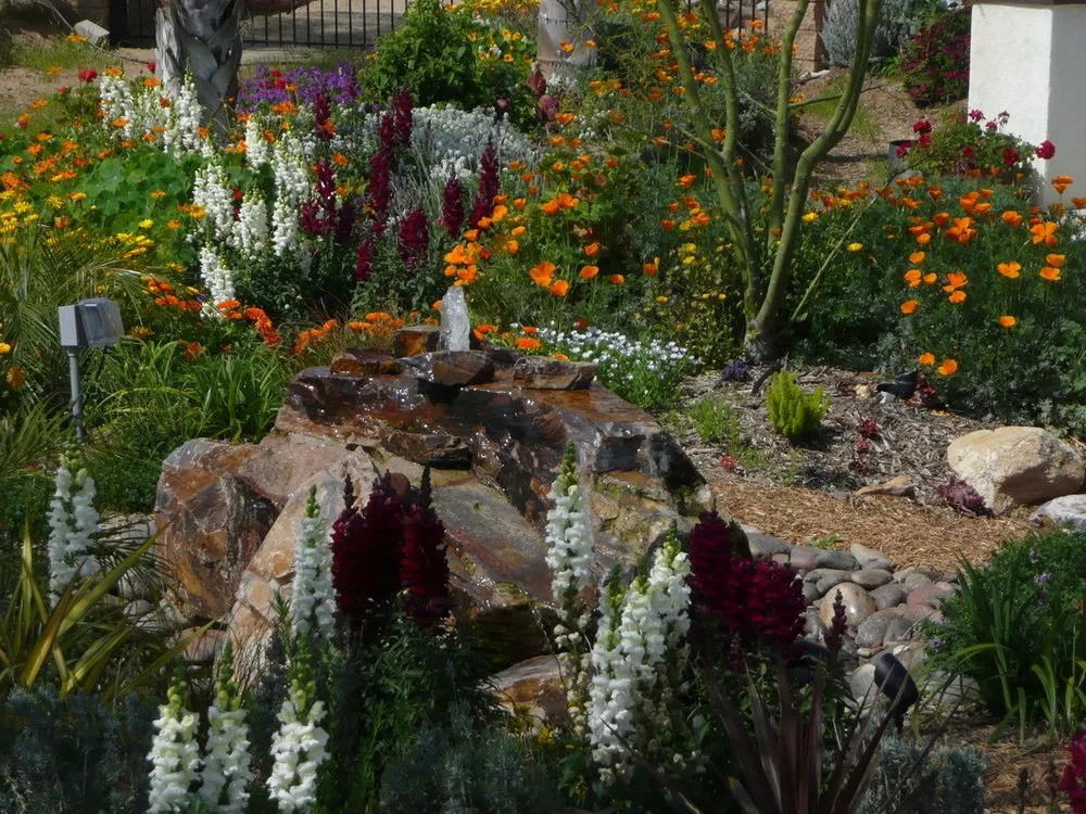 Expert lawn care service with custom design in Rancho Cucamonga, CA by Brownbear Landscapes
