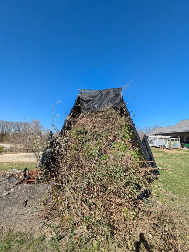 Affordable lawn care service experts serving Holts Summit, MO - Browning & Sons Solutions