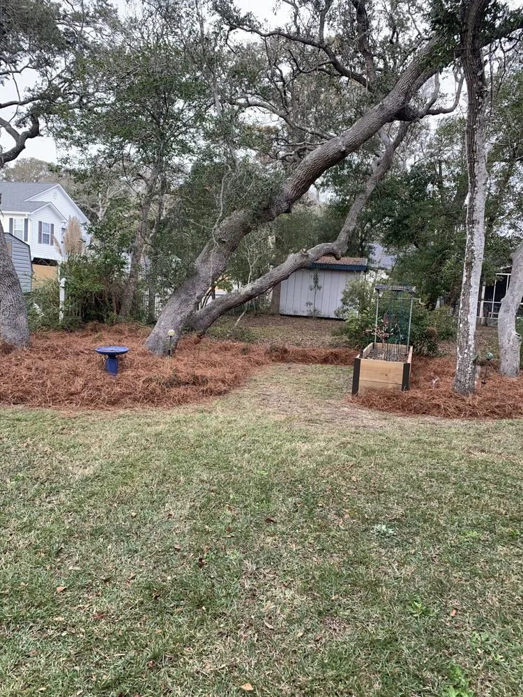 Reliable yard cleanup service in Varnamtown, NC - Browning's Coastal Lawn Care