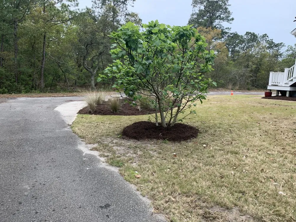 Professional landscape design for year-round maintenance in Varnamtown, NC by Browning's Coastal Lawn Care