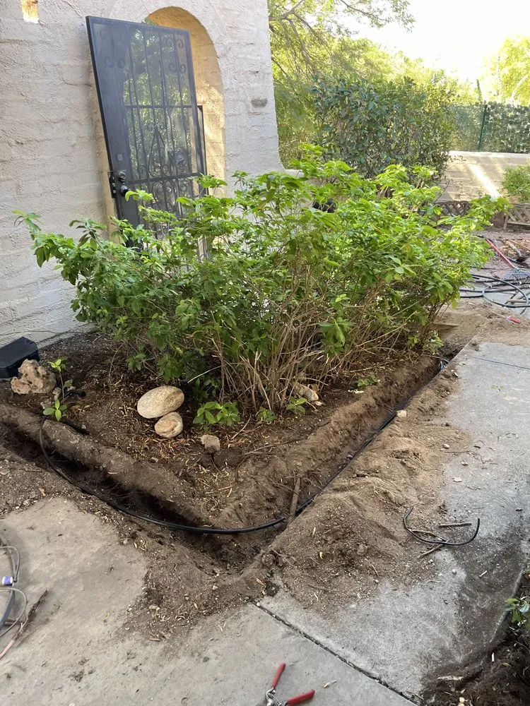 Custom garden landscaping experts serving Tucson, AZ - Brownings Irrigation And More