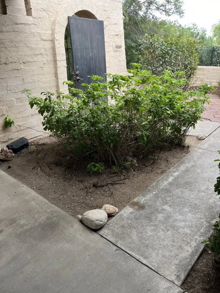 Custom garden landscaping in Tucson, AZ by Brownings Irrigation And More