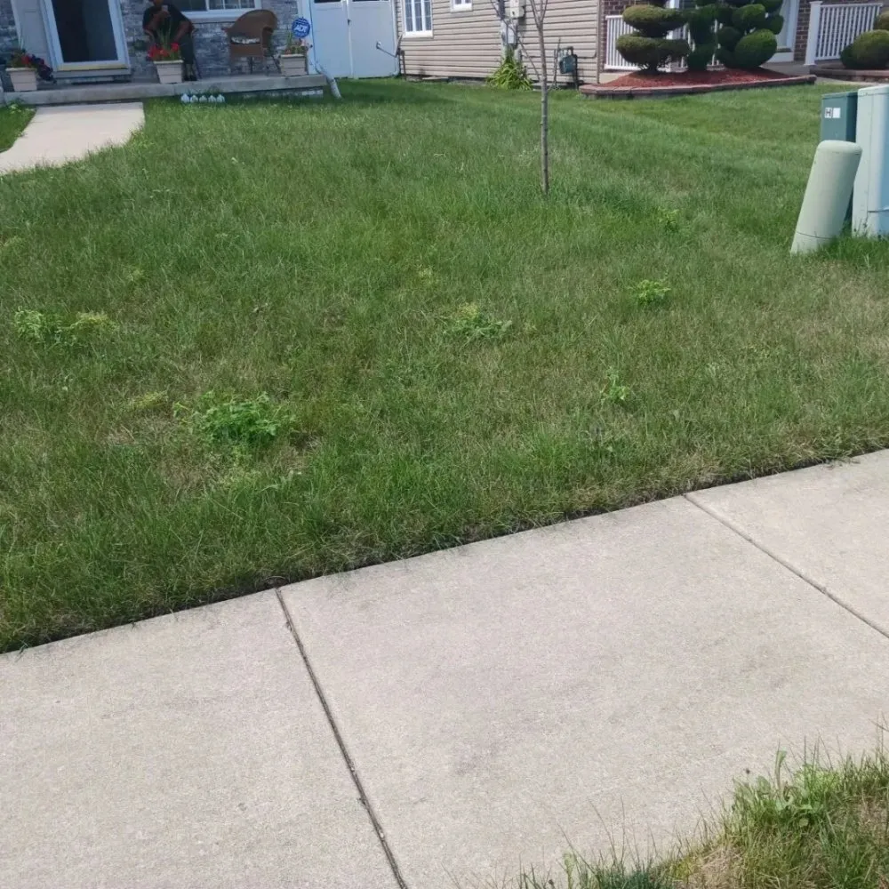 Reliable residential landscaping in Chicago, IL - Brownish management & maintenance