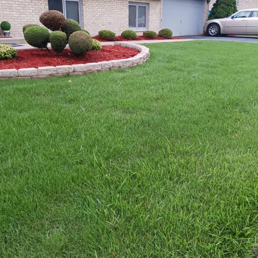 Local landscaping services for year-round maintenance in Chicago, IL by Brownish management & maintenance