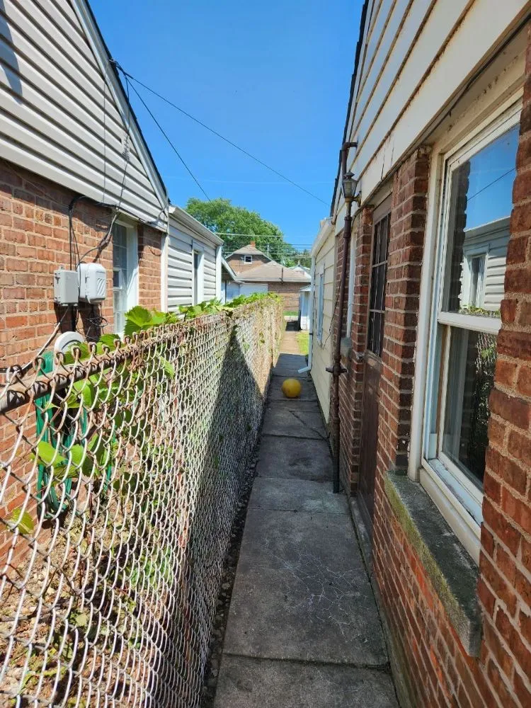 Professional yard cleanup service in Chicago, IL by Brownish management & maintenance