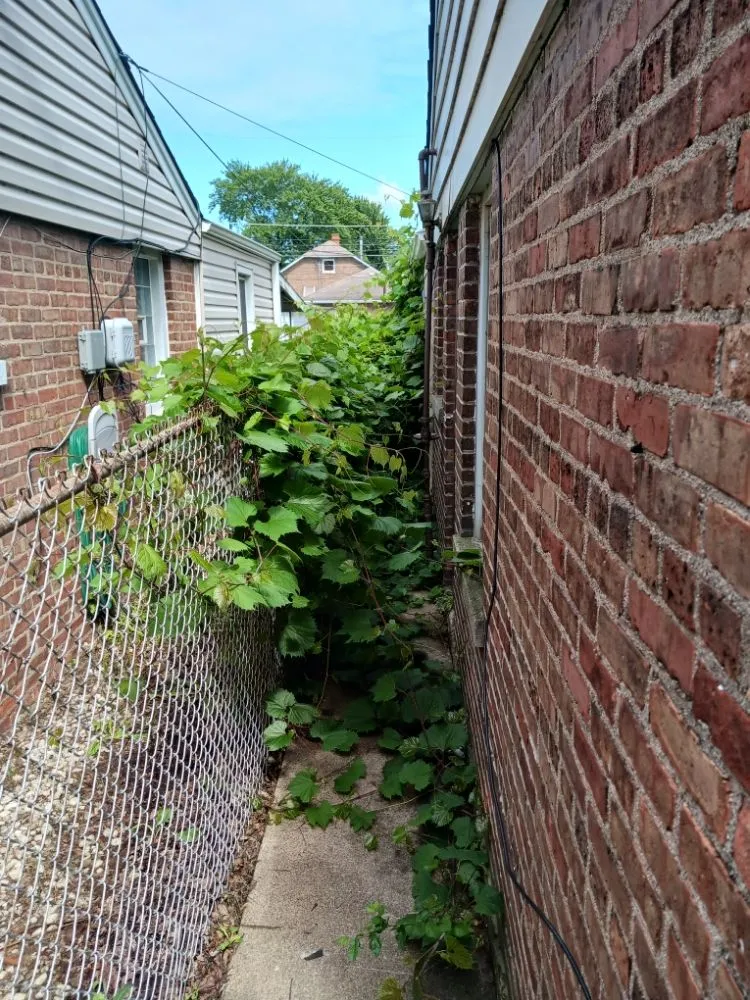 Expert residential landscaping for outdoor upgrades across Chicago, IL - Brownish management & maintenance