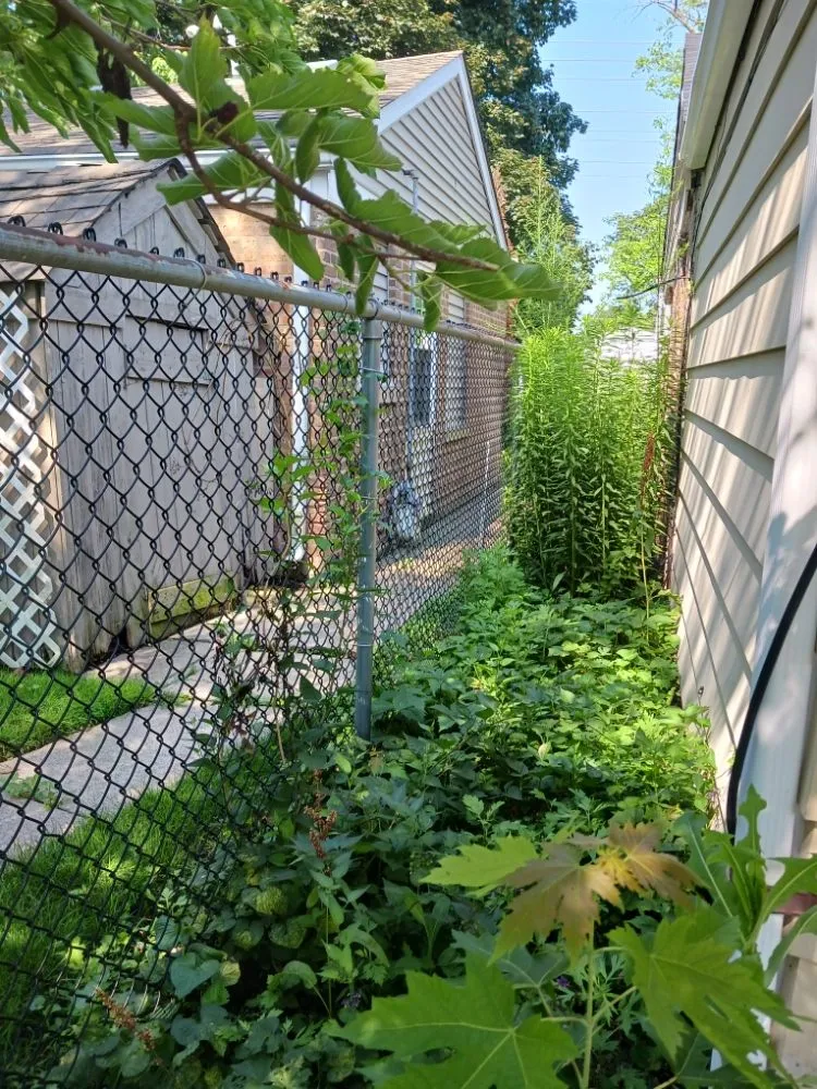 Professional yard maintenance with custom design in Chicago, IL by Brownish management & maintenance