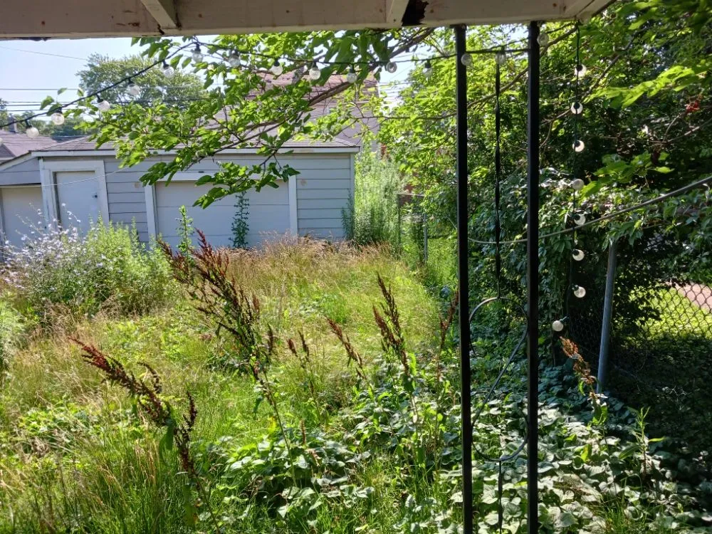 Expert garden landscaping in Chicago, IL - Brownish management & maintenance