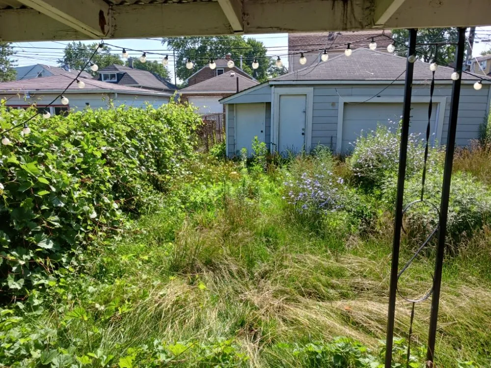 Top-rated outdoor landscaping in Chicago, IL by Brownish management & maintenance