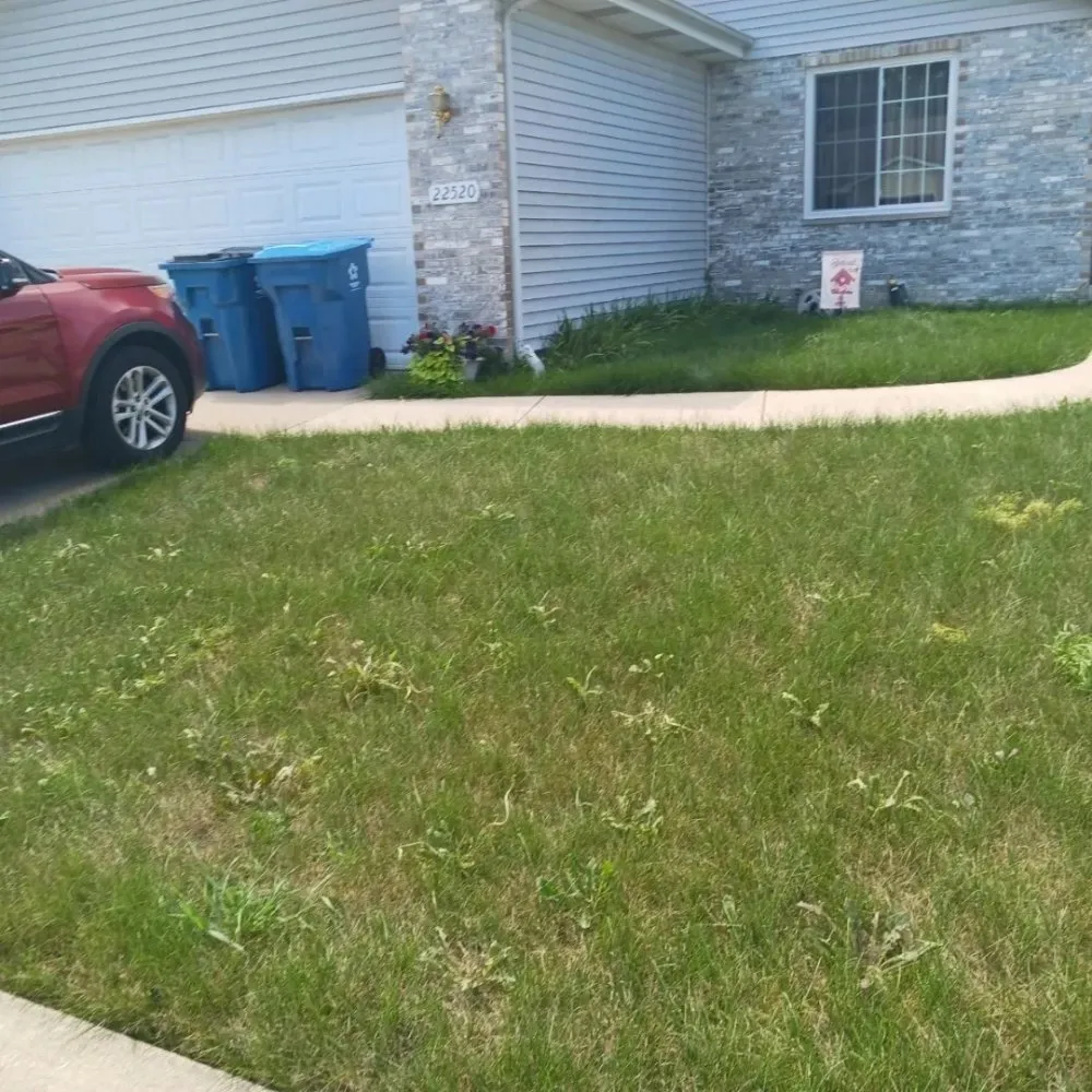 Custom lawn care service for beautiful yards across Chicago, IL - Brownish management & maintenance