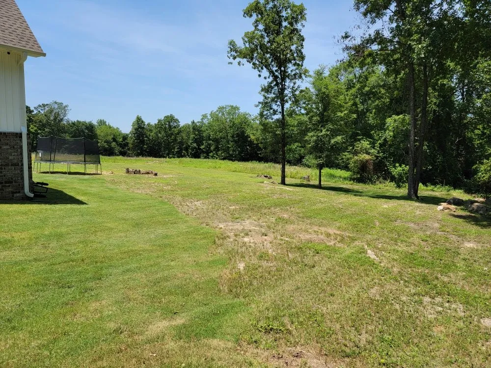 Top-rated lawn care service for homes across Paris, AR - Brown's Affordable Lawn & Landscaping