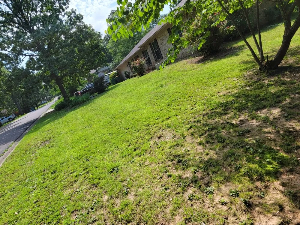 Custom yard cleanup service for homes across Paris, AR - Brown's Affordable Lawn & Landscaping