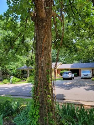 Brown's Affordable Lawn & Landscaping