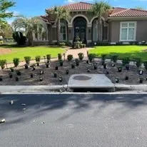 Expert yard cleanup service in Loris, SC by Browns Committed Landscaping