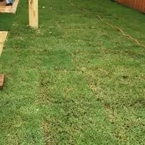 Trusted yard maintenance for beautiful yards across Loris, SC - Browns Committed Landscaping