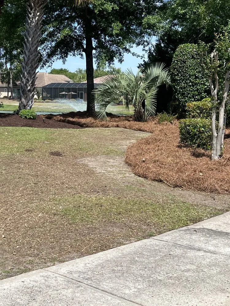 Top-rated lawn care service for residential properties in Loris, SC by Browns Committed Landscaping