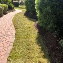 Custom yard cleanup service in Loris, SC - Browns Committed Landscaping