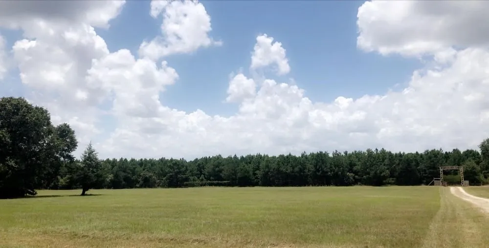 Reliable outdoor landscaping for homes in Palestine, TX by Brown's Construction & Lawn Care Services