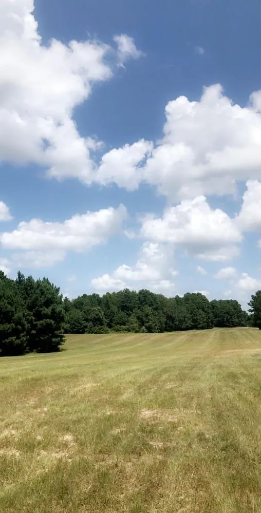 Custom landscaping services in Palestine, TX - Brown's Construction & Lawn Care Services