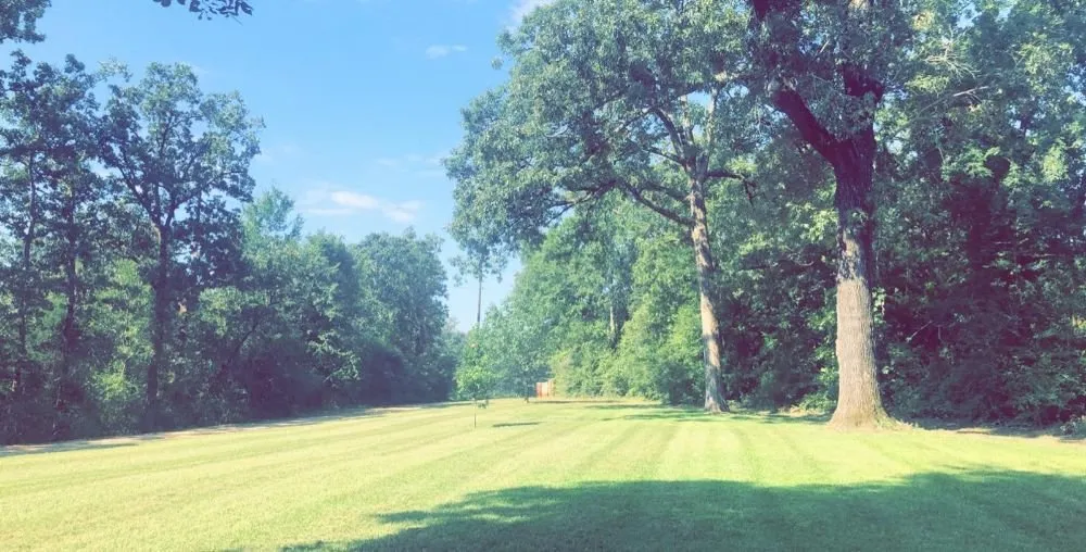 Top-rated lawn mowing service near you across Palestine, TX - Brown's Construction & Lawn Care Services