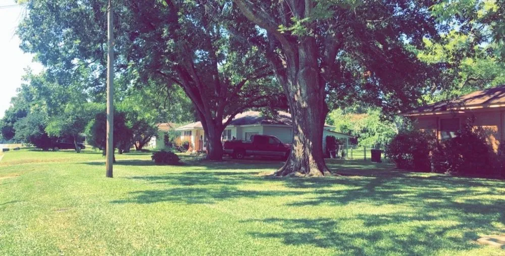 Affordable yard maintenance in Palestine, TX - Brown's Construction & Lawn Care Services