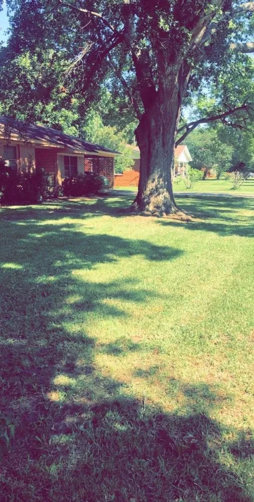 Expert residential landscaping experts serving Palestine, TX - Brown's Construction & Lawn Care Services