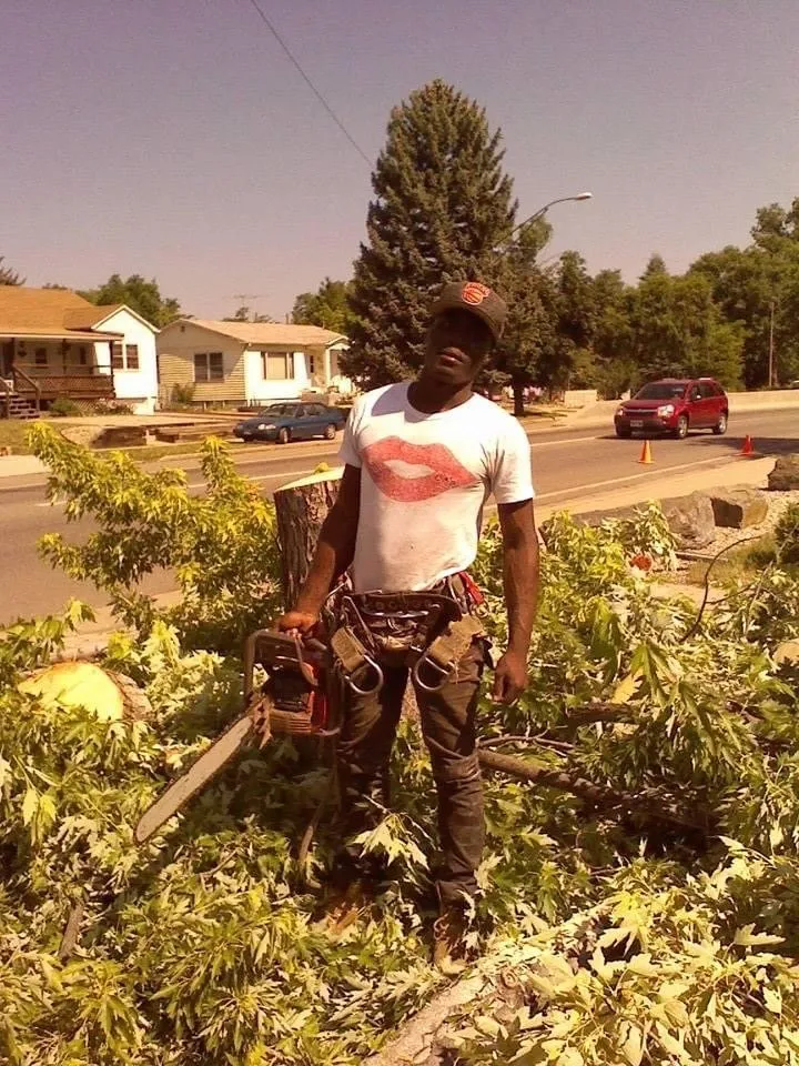 Reliable yard cleanup service in Loveland, CO by Brown's Fence and Landscape