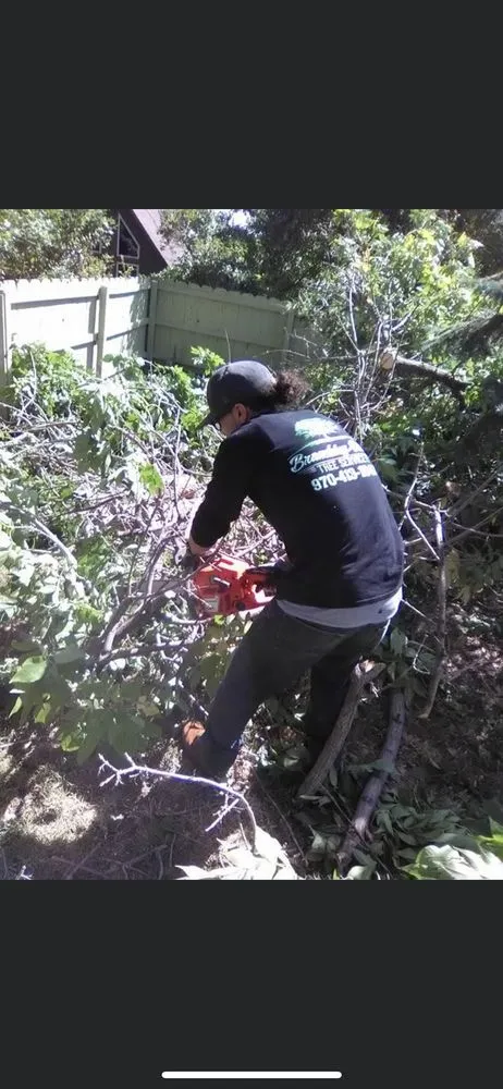 Expert yard cleanup service experts serving Loveland, CO - Brown's Fence and Landscape