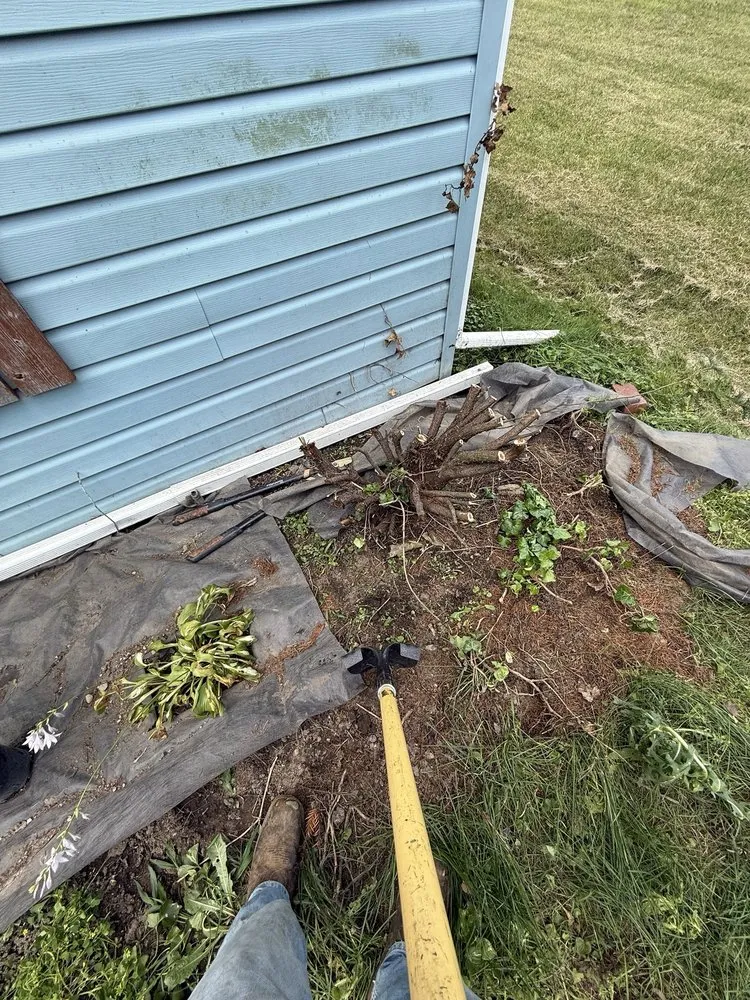 Reliable landscape installation experts serving Springfield, OH - Browns Grounds Care