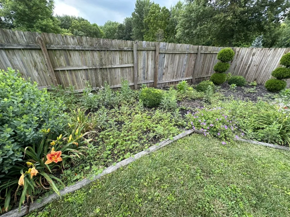 Top-rated lawn care service for residential properties in Springfield, OH by Browns Grounds Care