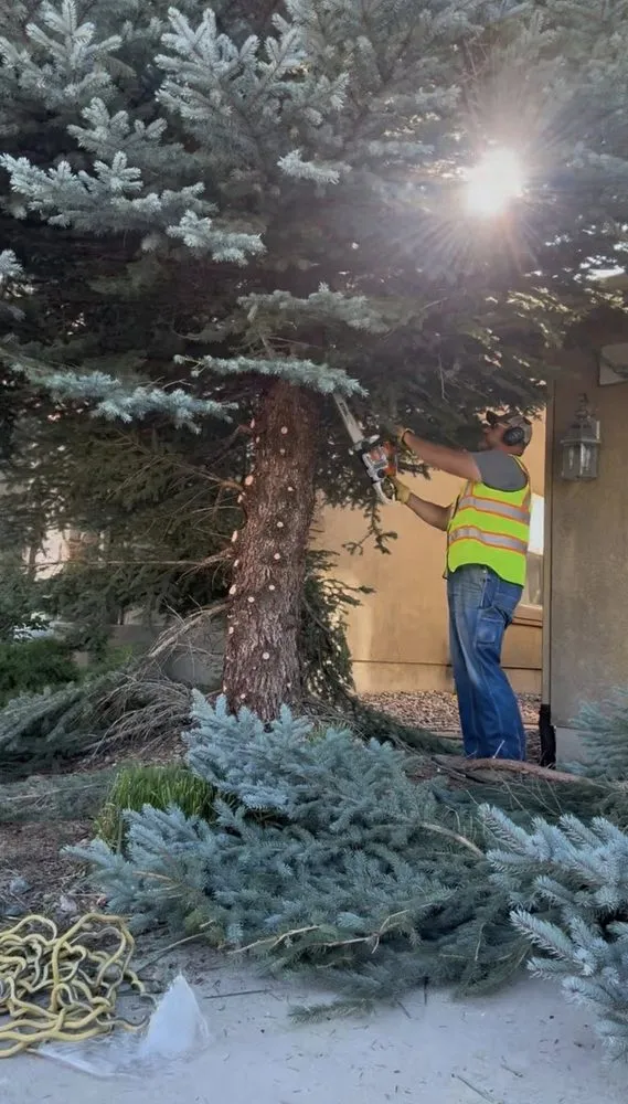 Affordable yard maintenance for residential properties across Colorado Springs, CO - Brown's Irrigation and Landscaping