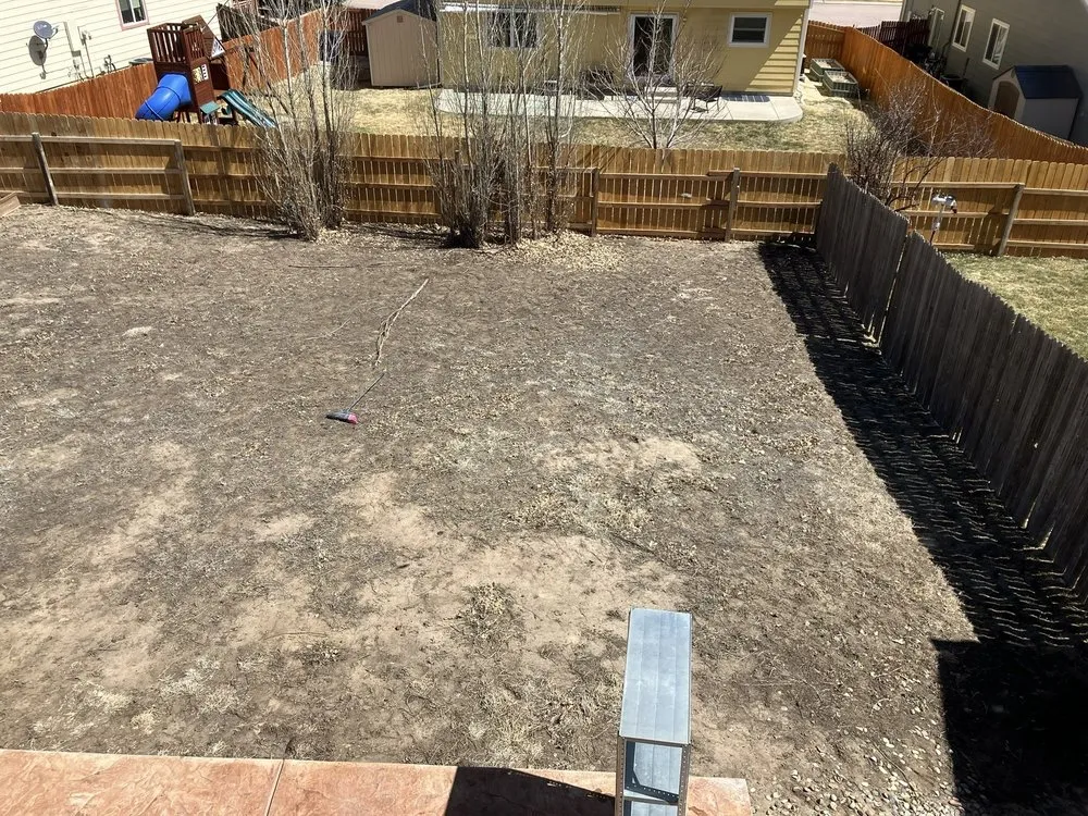 Affordable yard cleanup service in Colorado Springs, CO by Brown's Irrigation and Landscaping