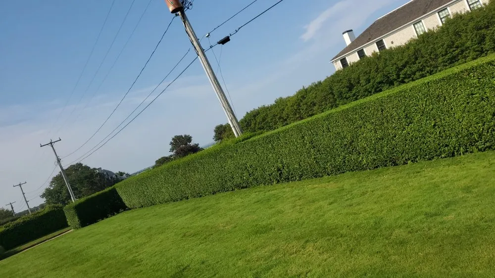 Expert residential landscaping for year-round maintenance across South Yarmouth, MA - Browns Landscape