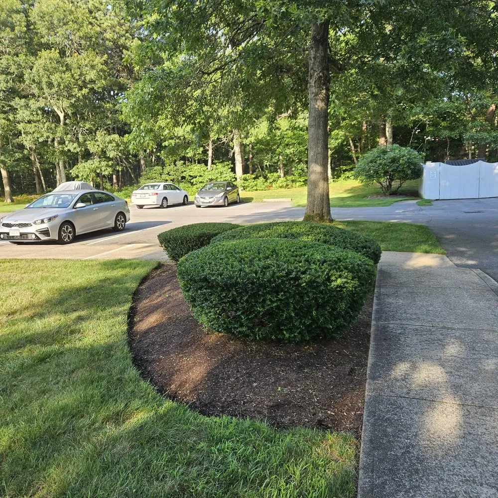 Reliable landscape installation in South Yarmouth, MA - Browns Landscape