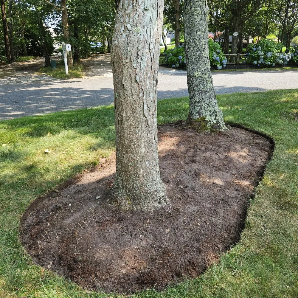Custom yard maintenance for beautiful yards across South Yarmouth, MA - Browns Landscape