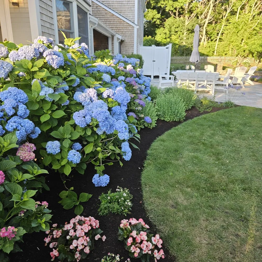 Affordable yard cleanup service experts serving South Yarmouth, MA - Browns Landscape